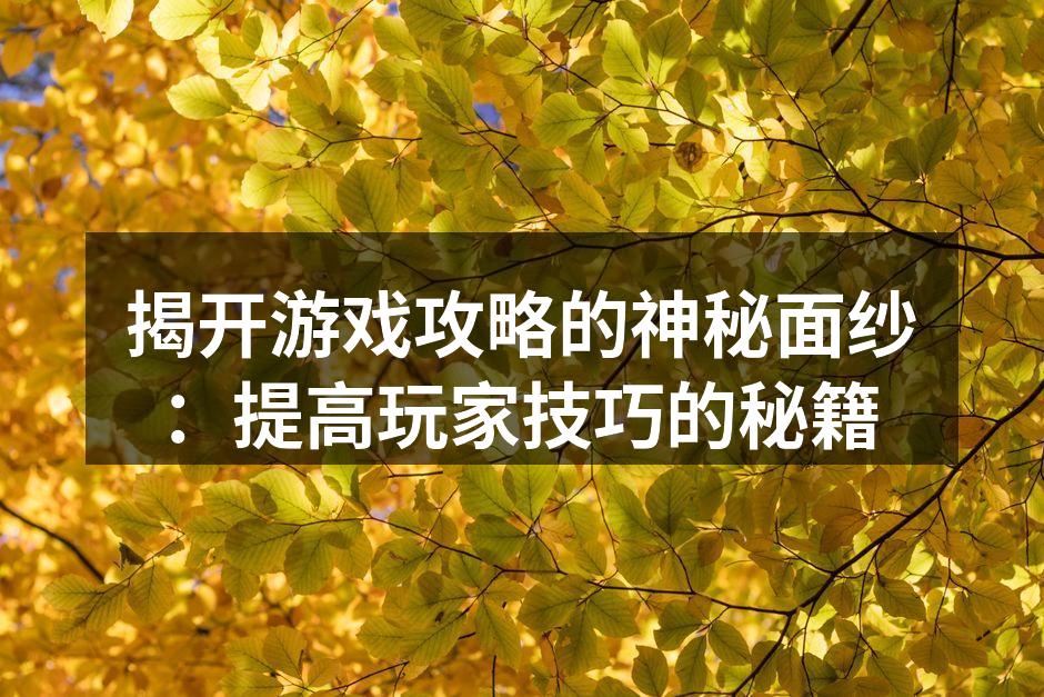 揭开游戏攻略的神秘面纱：提高玩家技巧的秘籍