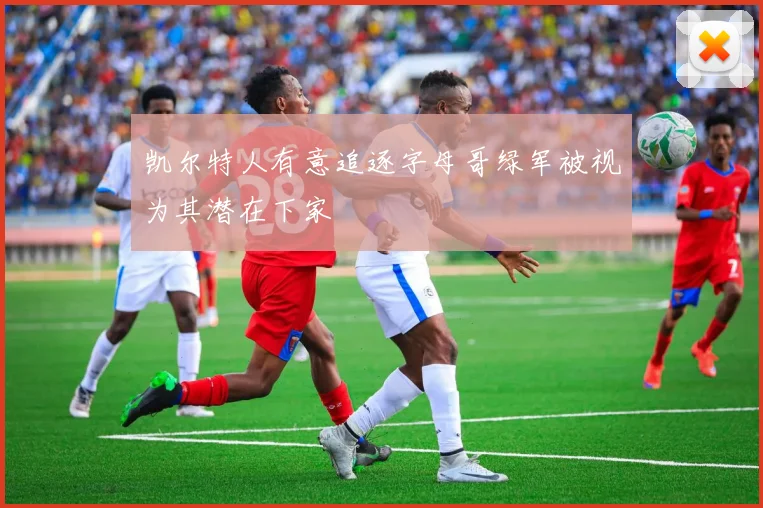 凯尔特人有意追逐字母哥绿军被视为其潜在下家