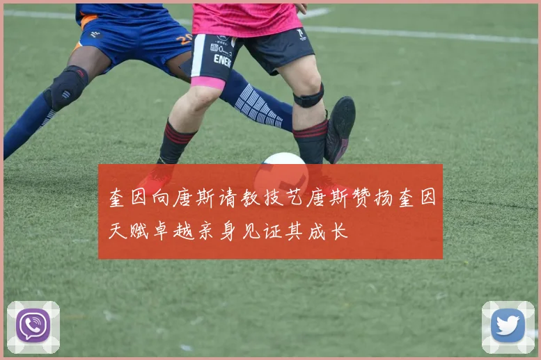 奎因向唐斯请教技艺唐斯赞扬奎因天赋卓越亲身见证其成长