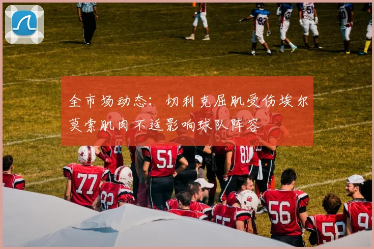 全市场动态：切利克屈肌受伤埃尔莫索肌肉不适影响球队阵容