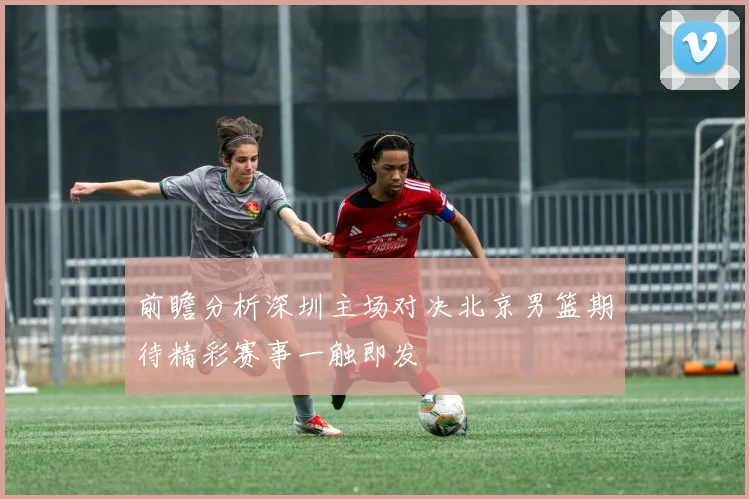 前瞻分析深圳主场对决北京男篮期待精彩赛事一触即发